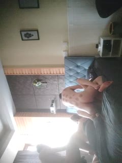 两对夫妻换妻活动,这次活动由于有一个绿帽老公_由于鸡巴阳痿了全程拿着相机拍摄,还找两个领导一起操老婆。绿帽老公只在旁边辅助,看老婆被操的结合处。(2).