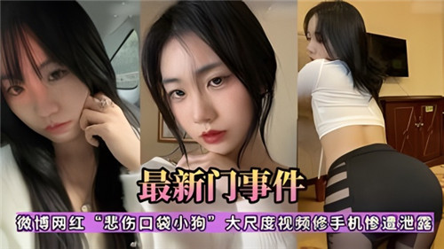 [独家] 网红悲伤口袋小狗修手机惨遭泄露 骚浪本性全曝光